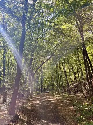 IMG_5154.jpeg