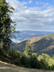 IMG_5258.jpeg